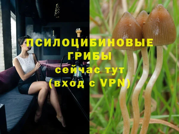 СК Баксан