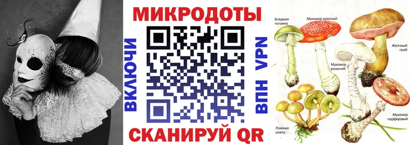 Псилоцибиновые грибы Psilocybe  что такое наркотик  Георгиевск 